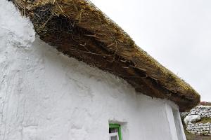 Lime wash at Mullylusty, Belcoo 