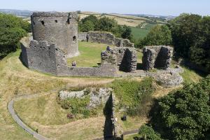 Dundrum Castle